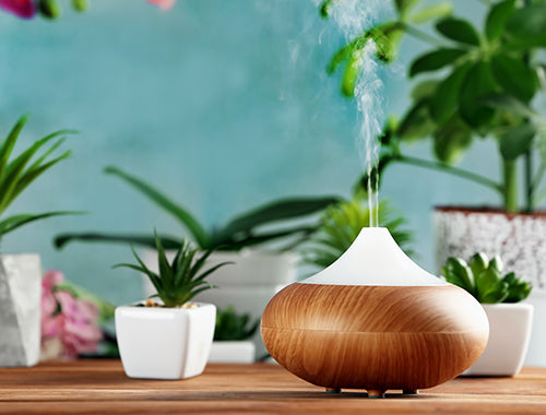 9 Aromatherapy Essentials