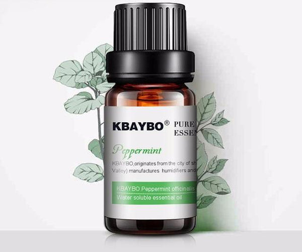 Set of Fragrance Humidifier Essentials Oils