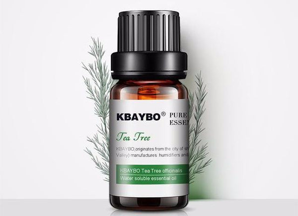 Set of Fragrance Humidifier Essentials Oils